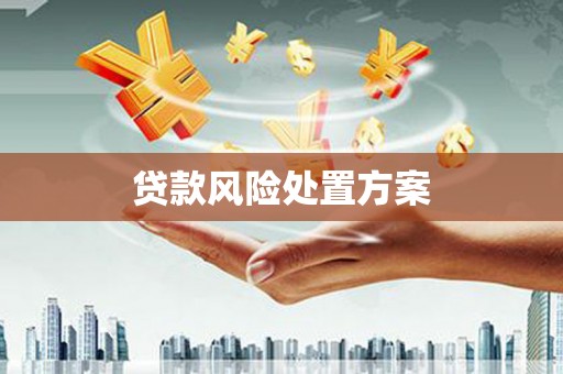 仑背贷款风险处置方案