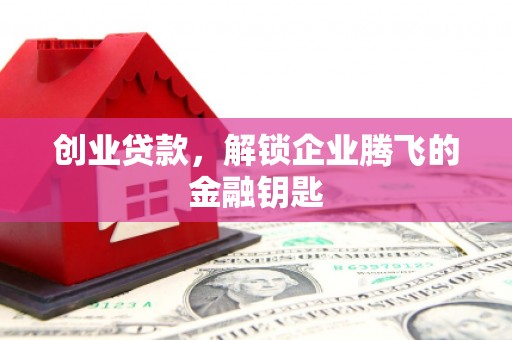 仑背创业贷款，解锁企业腾飞的金融钥匙