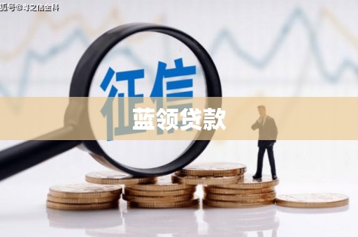 仑背蓝领贷款