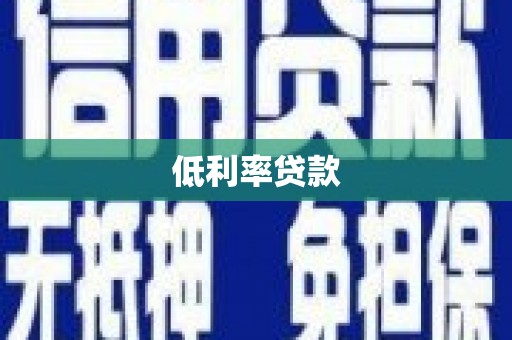 仑背低利率贷款