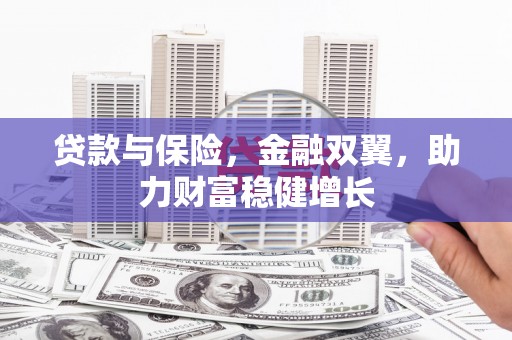 仑背贷款与保险，金融双翼，助力财富稳健增长
