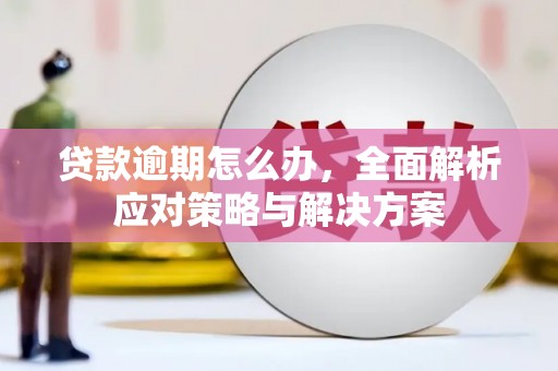 仑背贷款逾期怎么办，全面解析应对策略与解决方案