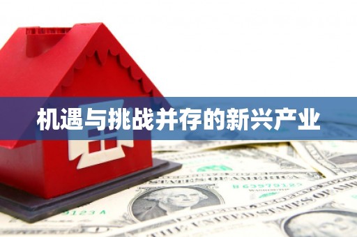 仑背机遇与挑战并存的新兴产业