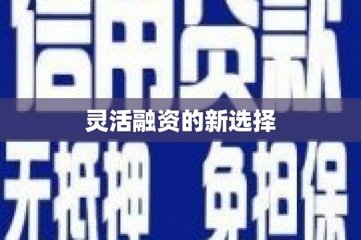 仑背灵活融资的新选择