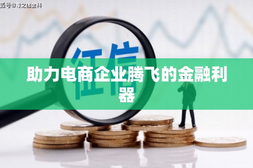 仑背助力电商企业腾飞的金融利器