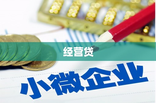 仑背经营贷
