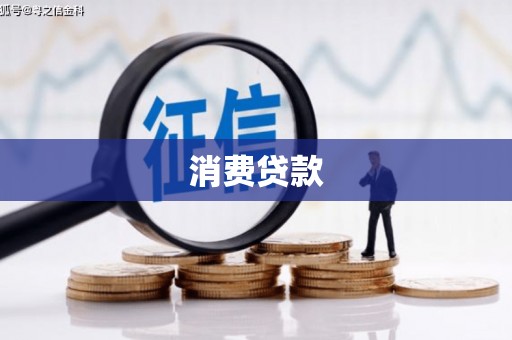 仑背消费贷款