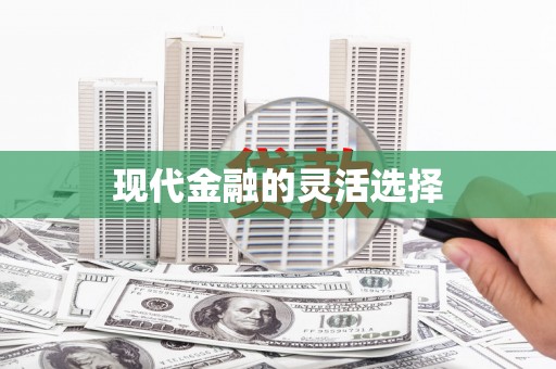 仑背现代金融的灵活选择