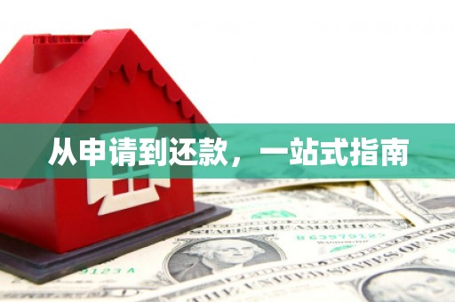仑背从申请到还款，一站式指南