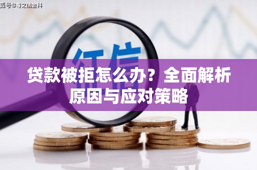 仑背贷款被拒怎么办？全面解析原因与应对策略