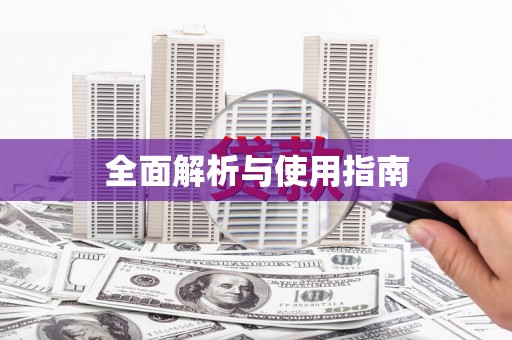 仑背全面解析与使用指南