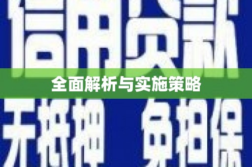 仑背全面解析与实施策略