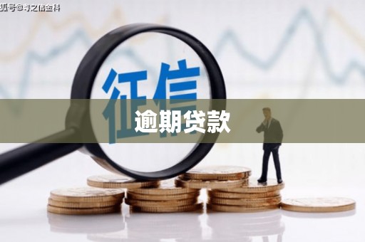 仑背逾期贷款