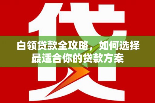 仑背白领贷款全攻略，如何选择最适合你的贷款方案