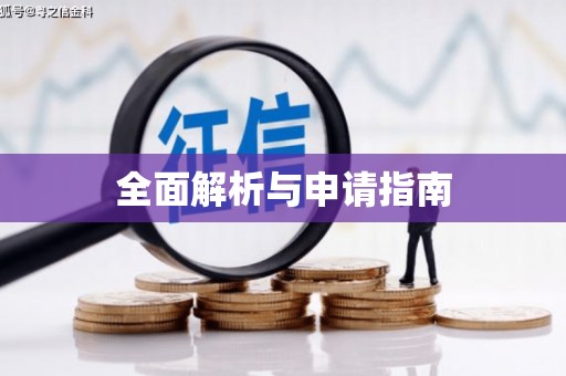 仑背全面解析与申请指南