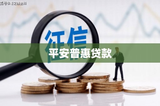 仑背平安普惠贷款
