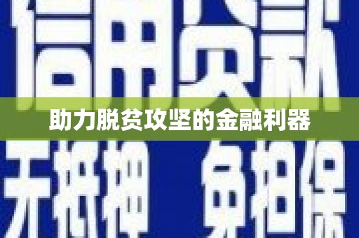 仑背助力脱贫攻坚的金融利器