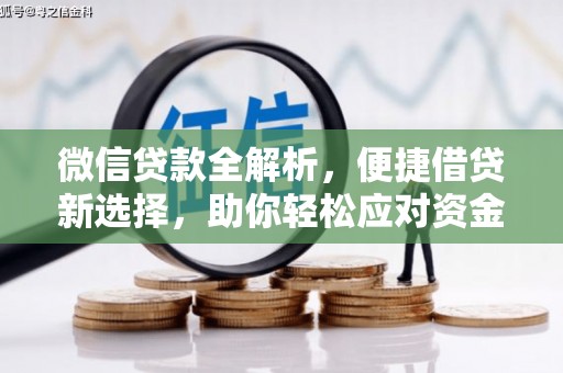 仑背微信贷款全解析，便捷借贷新选择，助你轻松应对资金需求